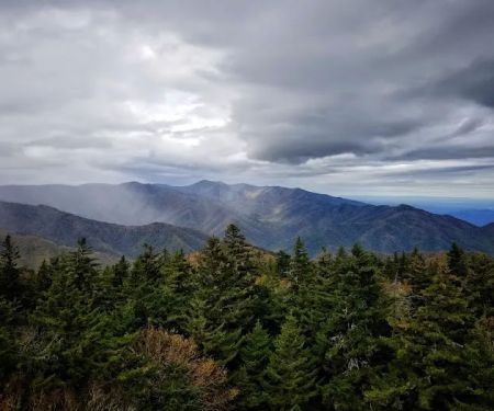 Backcountry Campsite #38