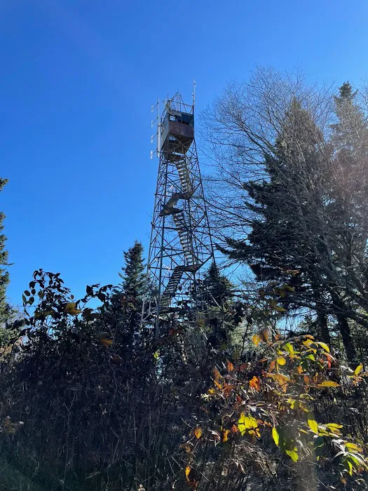 Backcountry Campsite #38 Picture 2