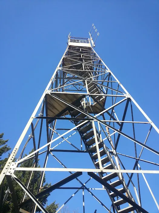 Backcountry Campsite #38 Picture 3