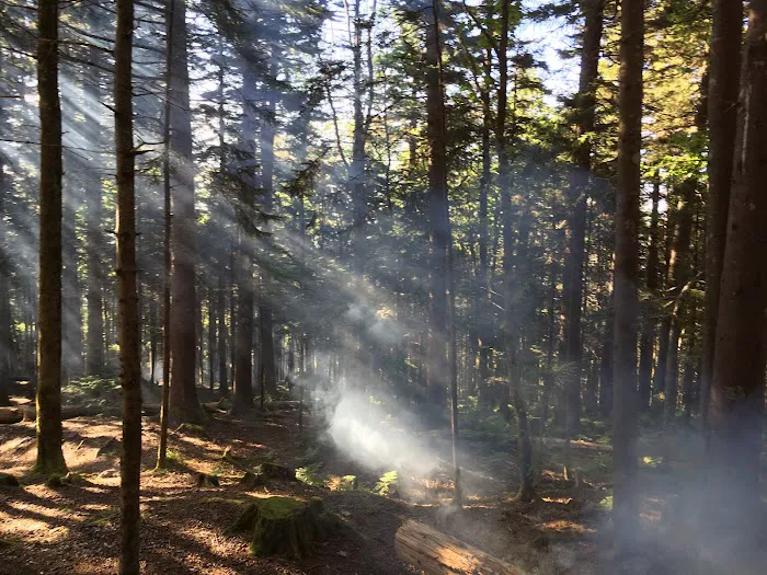 Backcountry Campsite #38 Picture 5