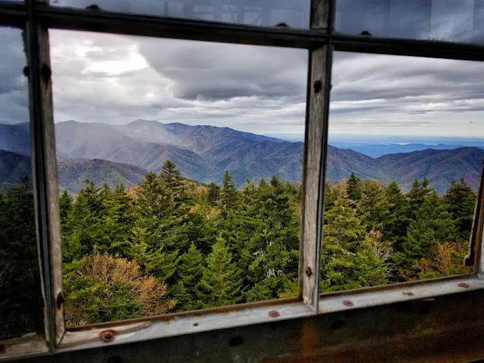 Backcountry Campsite #38 Picture 4