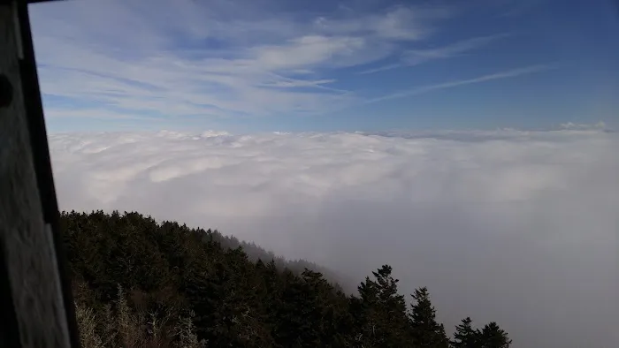 Backcountry Campsite #38 Picture 10