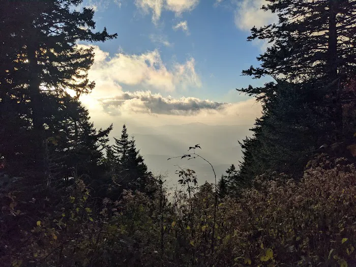 Backcountry Campsite #38 Picture 8