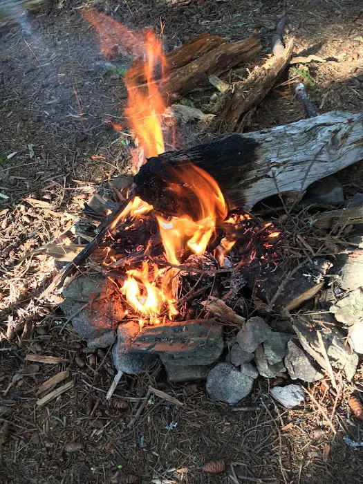 Backcountry Campsite #38 Picture 7