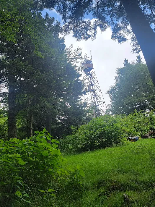 Backcountry Campsite #38 Picture 9