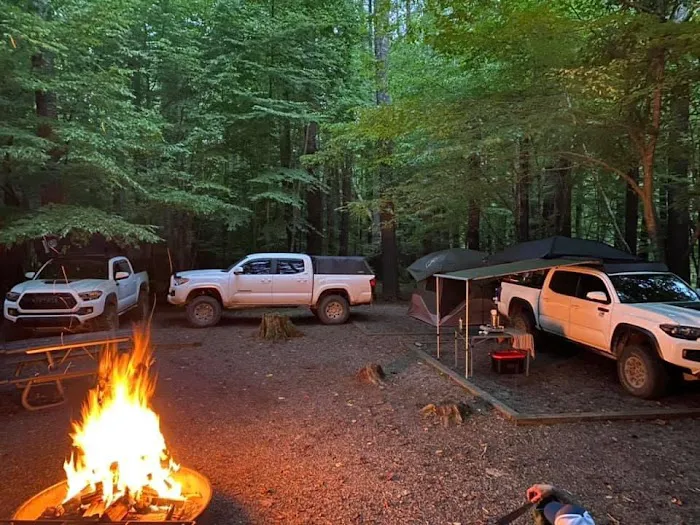 Cataloochee Group Campground Picture 2