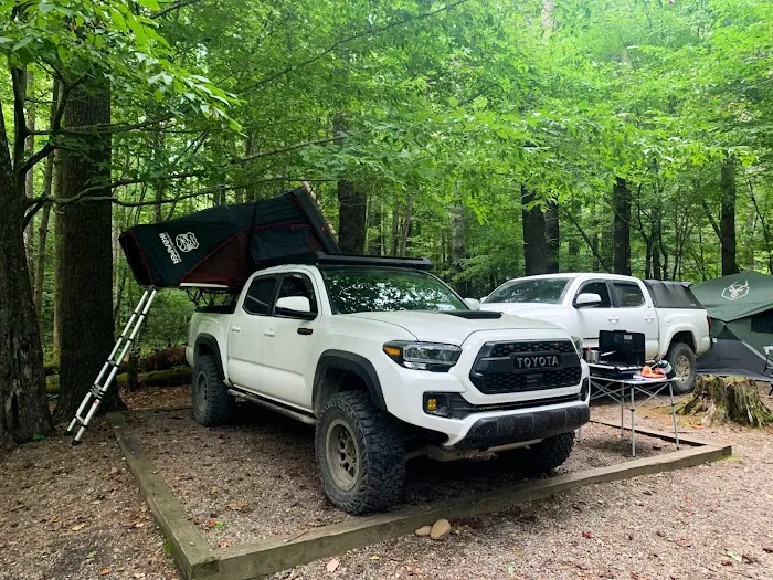 Cataloochee Group Campground Picture 6
