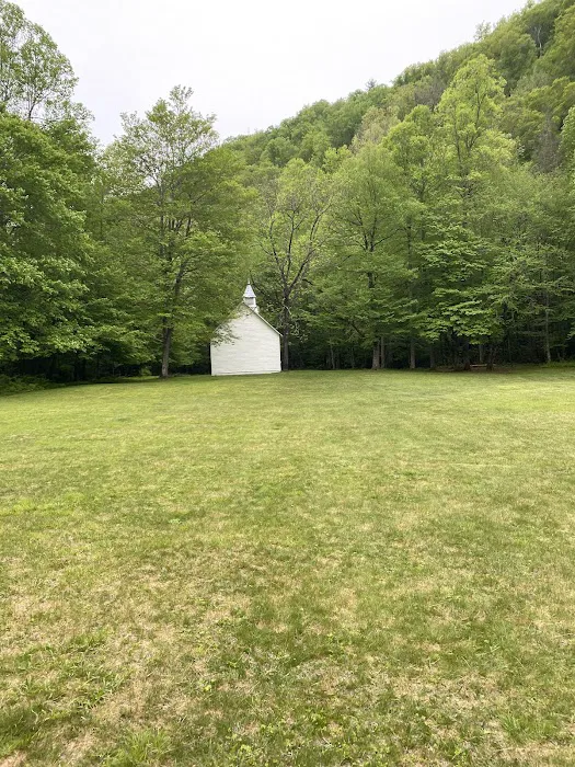 Cataloochee Group Campground Picture 8