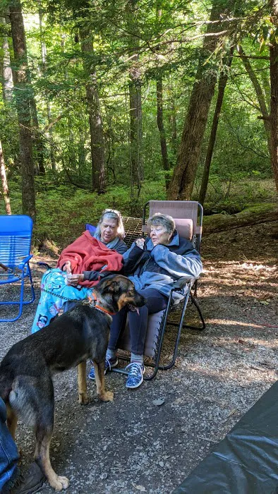 Cataloochee Campground Picture 7