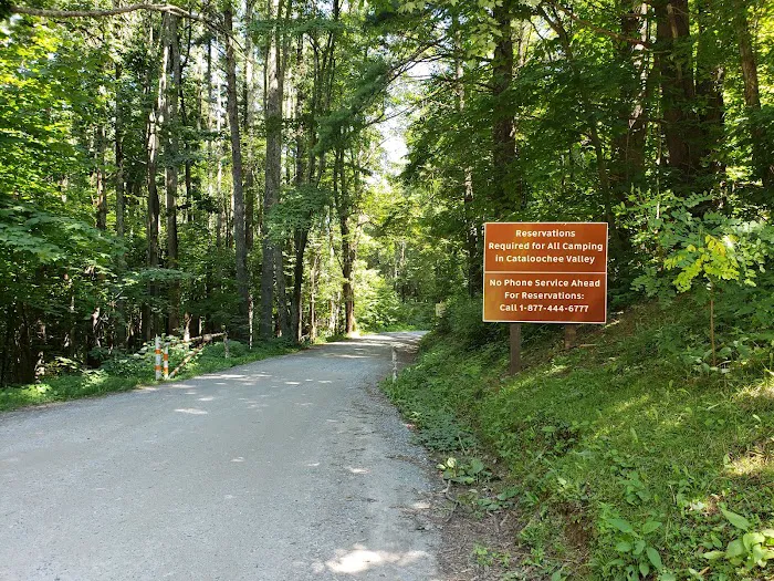 Cataloochee Campground Picture 8