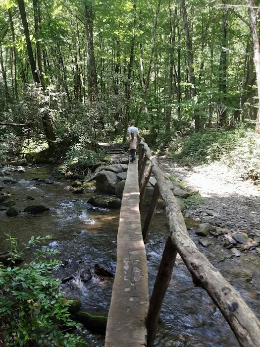 Cataloochee Campground Picture 10