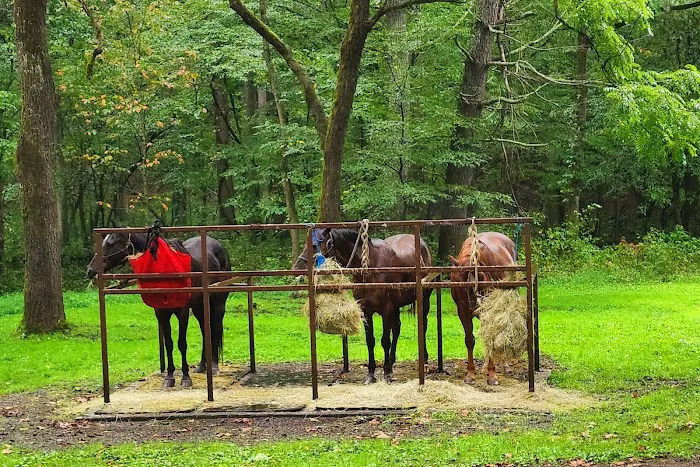 Cataloochee Horse Camp Picture 1