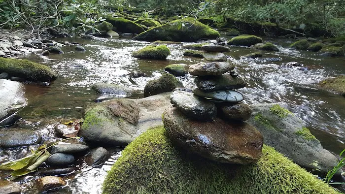 Cataloochee Horse Camp Picture 6