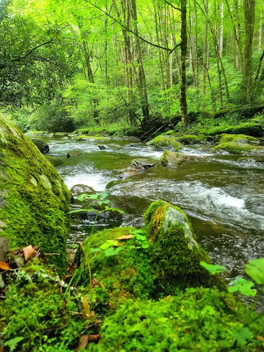 Cataloochee Horse Camp Picture 7