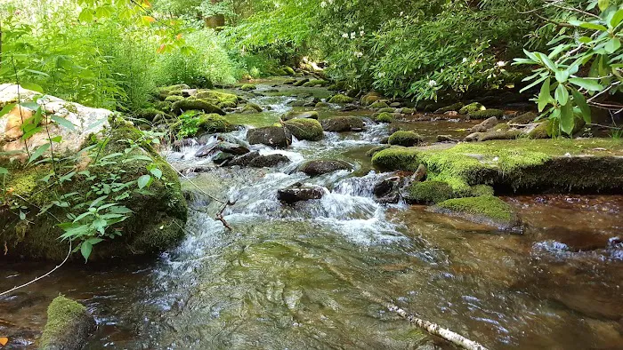 Cataloochee Horse Camp Picture 10