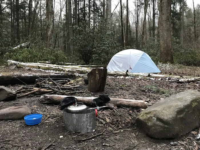 Lower Walnut Bottom Campsite 37 Picture 3