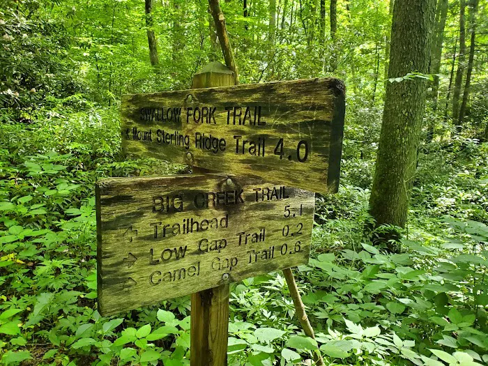 Lower Walnut Bottom Campsite 37 Picture 1