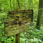 Lower Walnut Bottom Campsite 37