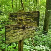 Lower Walnut Bottom Campsite 37 ico