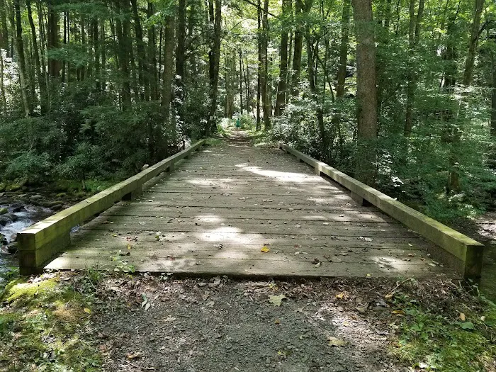 Lower Walnut Bottom Campsite 37 Picture 4