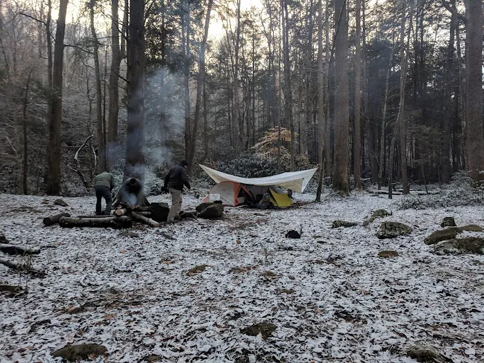 Lower Walnut Bottom Campsite 37 Picture 7