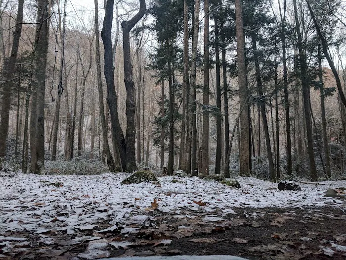 Lower Walnut Bottom Campsite 37 Picture 8