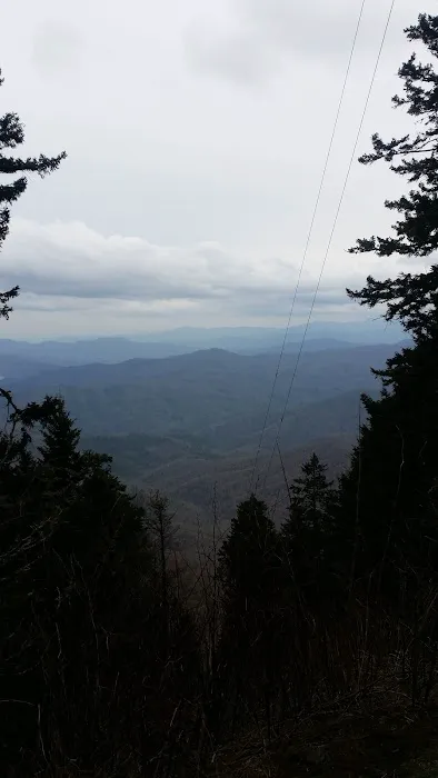 Lower Walnut Bottom Campsite 37 Picture 9