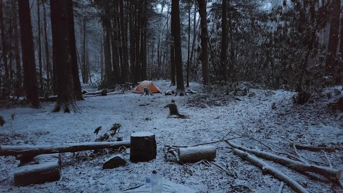 Lower Walnut Bottom Campsite 37 Picture 10