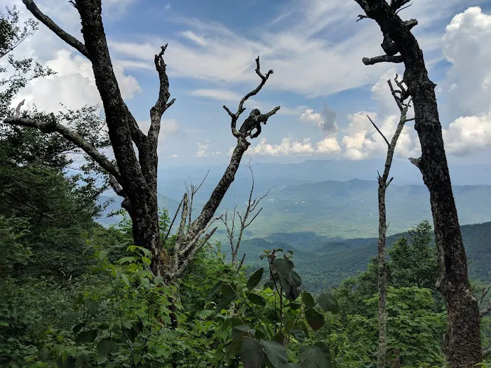 Sunup Knob Picture 6