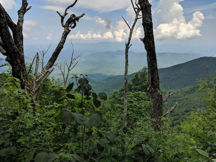 Sunup Knob Picture 8