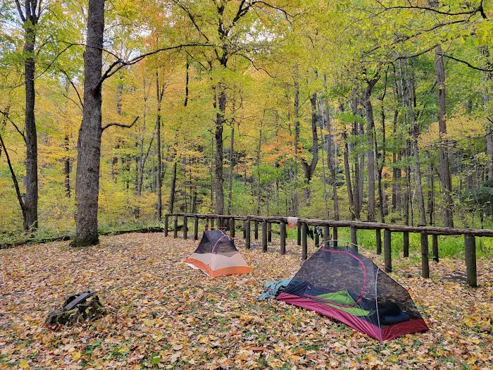 Backcountry Campsite #36 Picture 3