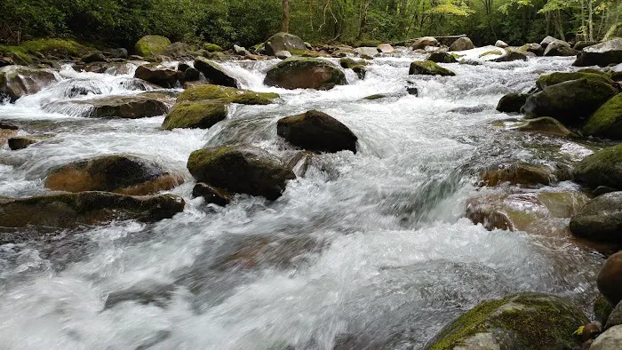 Backcountry Campsite #36 Picture 1