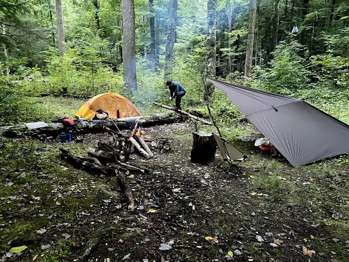 Backcountry Campsite #36 Picture 4