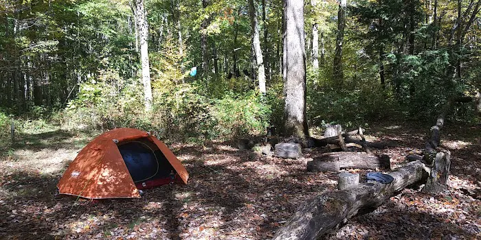 Backcountry Campsite #36 Picture 9
