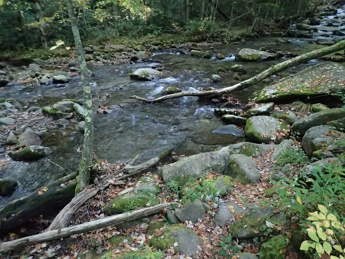 Backcountry Campsite #36 Picture 10