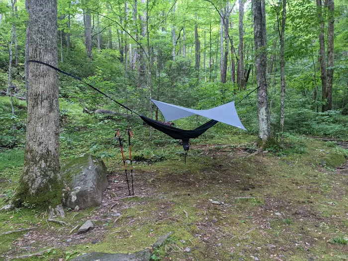 Backcountry Campsite #35 Picture 1