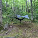 Backcountry Campsite #35