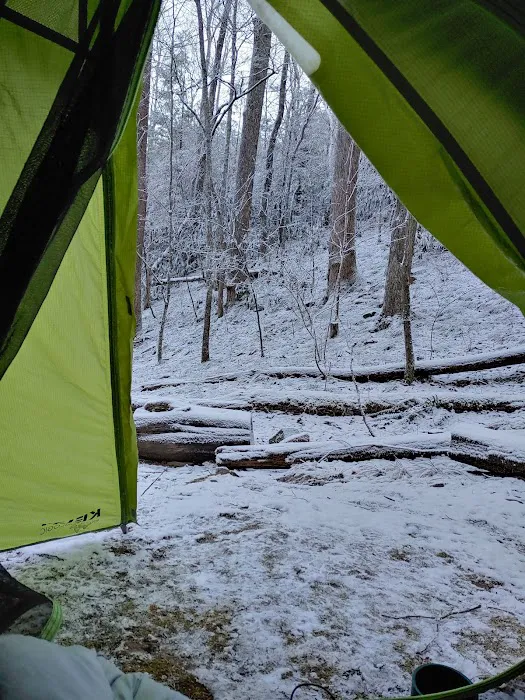 Backcountry Campsite #35 Picture 5