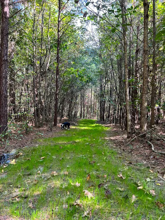 Outside Inn Campground Picture 2