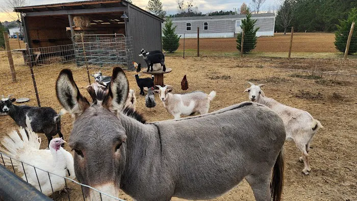 Outside Inn Campground Picture 8