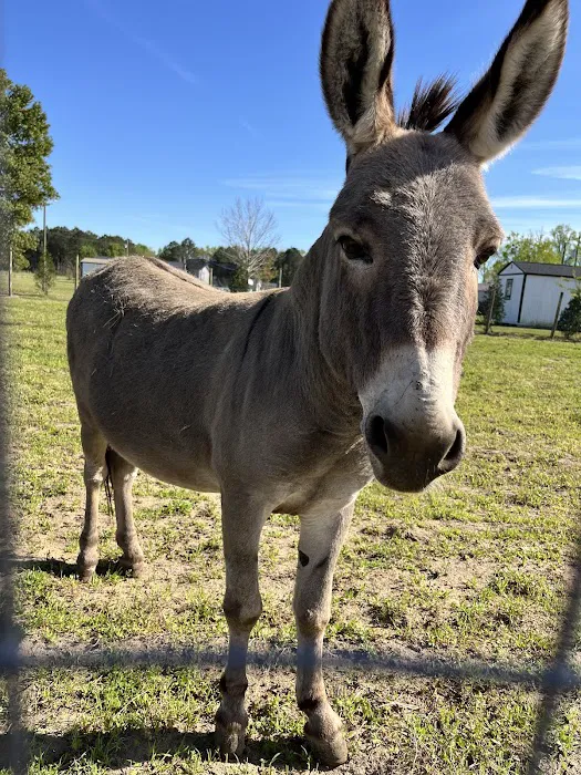 Outside Inn Campground Picture 10