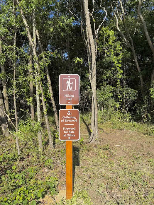 Sunny Days RV Park & Campground Picture 5