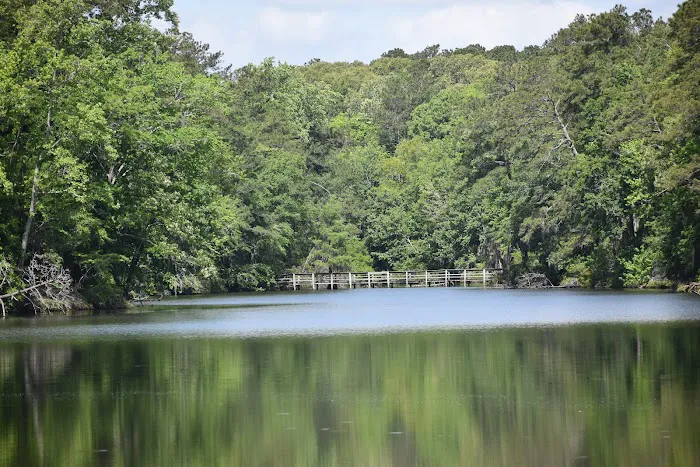 Lake Shore Campground Picture 6