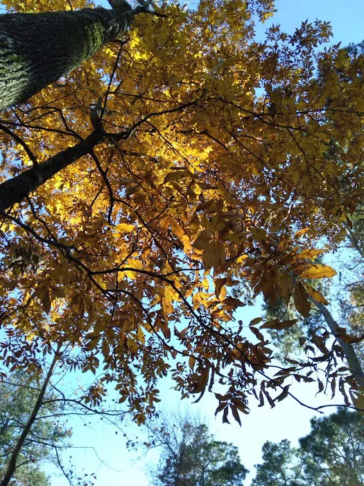 Lake Shore Campground Picture 5