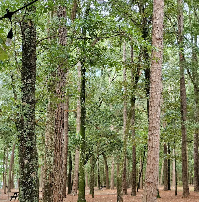 Lake Shore Campground Picture 10