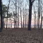 Lakeshore Campground