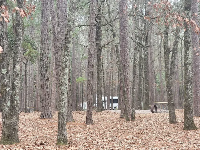 Lakeshore Campground Picture 10