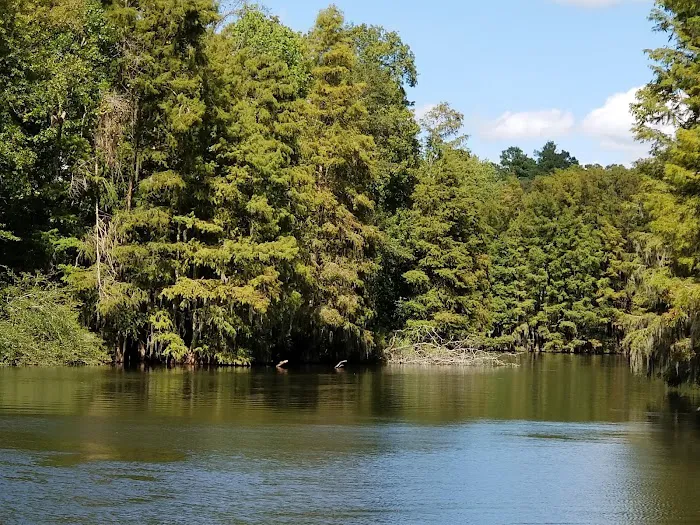 Lake Marion Resort and Marina Picture 2