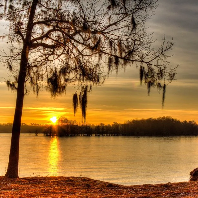 Lake Marion Resort and Marina Picture 3