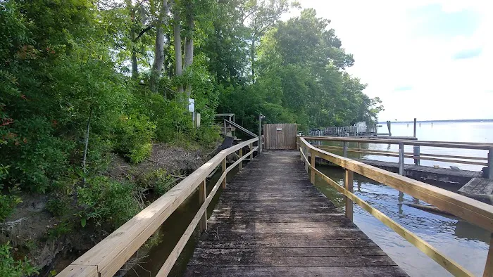 Lake Marion Resort and Marina Picture 5